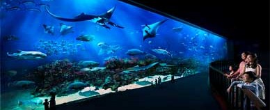 Marine Life Park