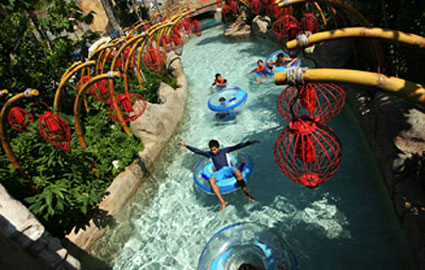 Enjoy the Splash  at Adventure Cove Park