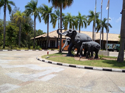Bintan Resorts