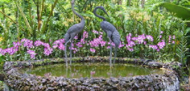 Botanical Gardens