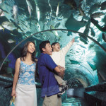 Marine Life Park