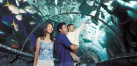 Marine Life Park Marine Life Park
