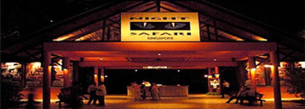 Night Safari