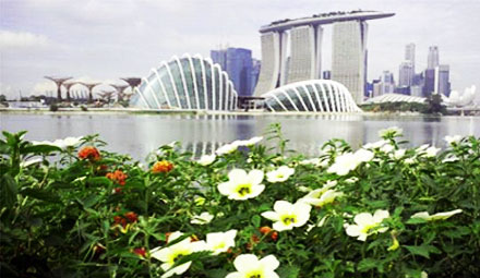 Gardens by the Bay