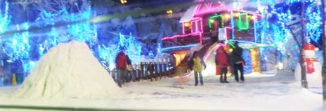 Snow City