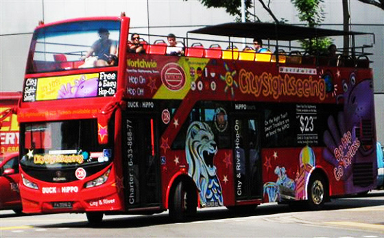 Hop on Hop Off Bus